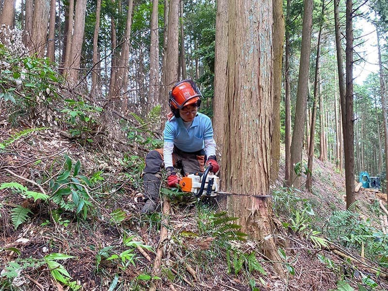 南河内林業 事業内容