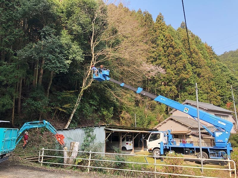 南河内林業　事業内容